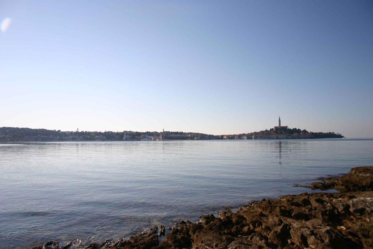 Apartment In Rovinj/Istrien 11533 Εξωτερικό φωτογραφία